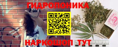 сатива Дубна